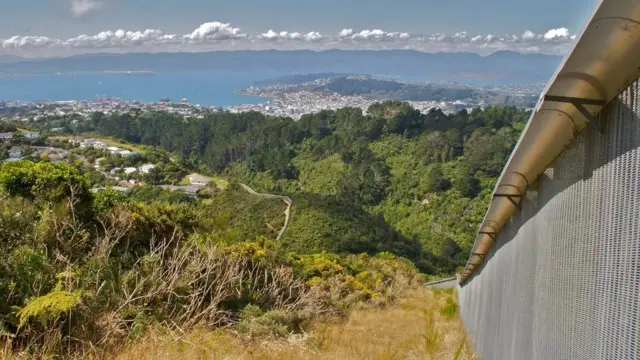 زيارة إلى المحمية التي وُضِعَت لها خطة تطوير لمدة 500 عام