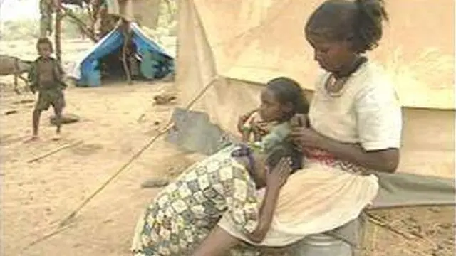 Lammilee Eertiraa Itoophiyaa keessaa ari'amani dawoo buqqaatotaa keessa jiraachaa turan - Adoolessa 1999