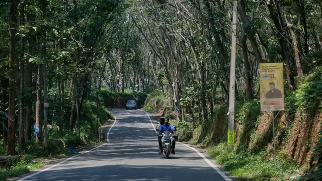 प्राकृतिक रबड़