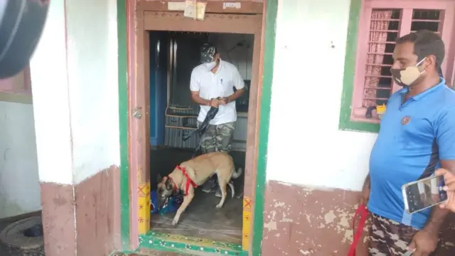 డాగ్ స్క్వాడ్