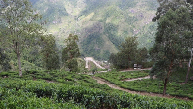 ලෝකාන්තය පාමුල ජීවිත