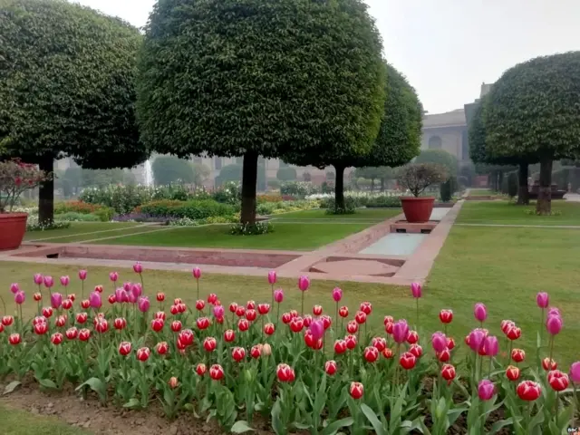 ਰਾਸ਼ਟਰਪਤੀ ਭਵਨ ਦੇ ਅੰਦਰ ਬਣਿਆ ਮੁਗਲ ਗਾਰਡਨ