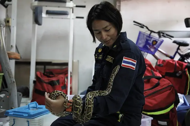 คนจับงู