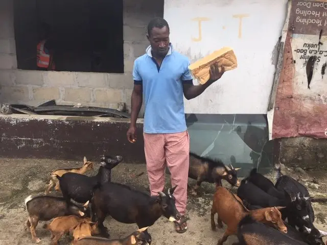 . Chukwubuikem Ede (feeding the goats)