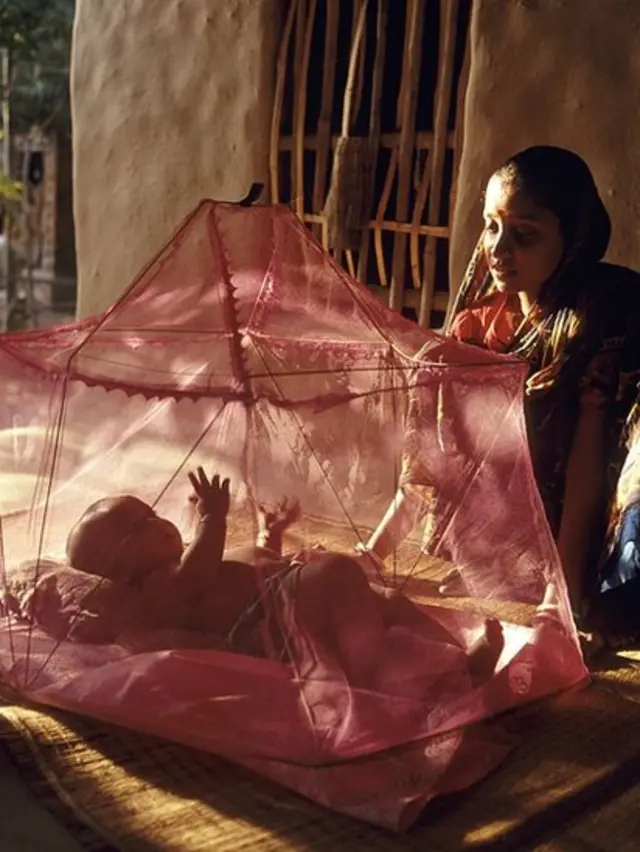 মফস্বল এলাকাগুলোতে ডেঙ্গুর বিরুদ্ধে তেমন কোন উদ্যোগ নেই বললেই চলে।