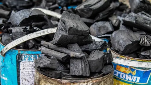 ਭਾਰਤ ਵਿੱਚ ਬਿਜਲੀ ਦੀ 70 ਫ਼ੀਸਦ ਪੂਰਤੀ ਕੋਲੇ ਤੋਂ ਹੁੰਦੀ ਹੈ