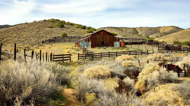 (圖片來源: Zack Frank)