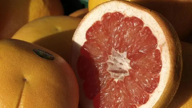 Yaxşı sağlamlıq üçün balanslaşdırılmış pəhrizin vacibliyini az adam vurğulasa da, əksəriyyətimizin qida ehtiyaclarımızı qarşılamaq üçün əlavələrə ehtiyacı yoxdur