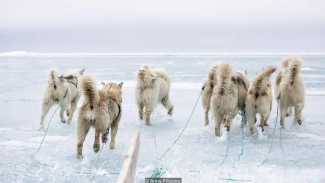 गायब होता एक गांव, ग्रीनलैंड