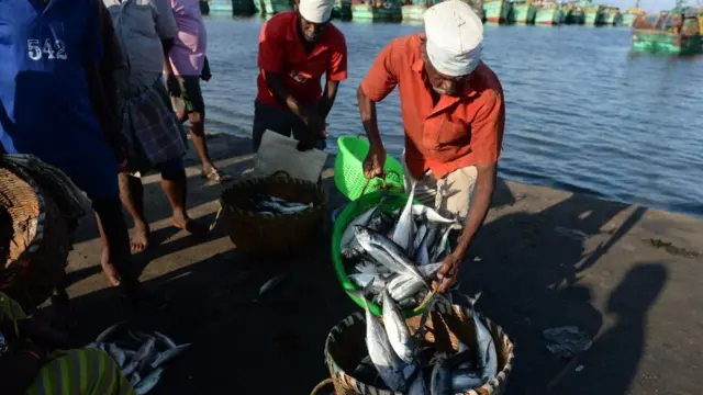 மீனவர்கள் மசோதா