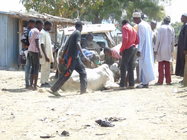 Benue Anti-Grazing Law