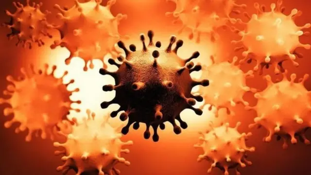 કોરોના વાઇરસ