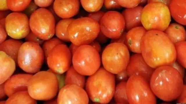 ટામેટાં