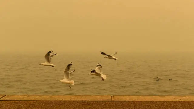 آتش‌سوزی در استرالیا