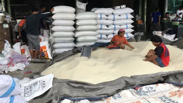 Pedagang menginginkan amannya pasokan beras untuk dijual