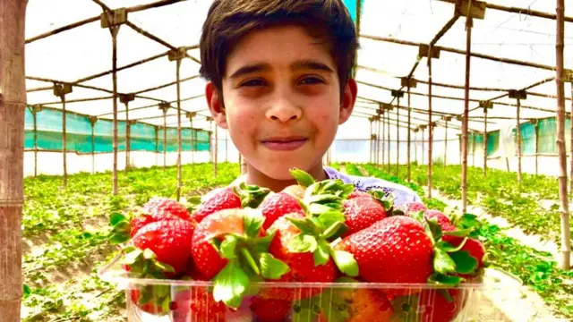 کندهار کې د ځمکې توتان