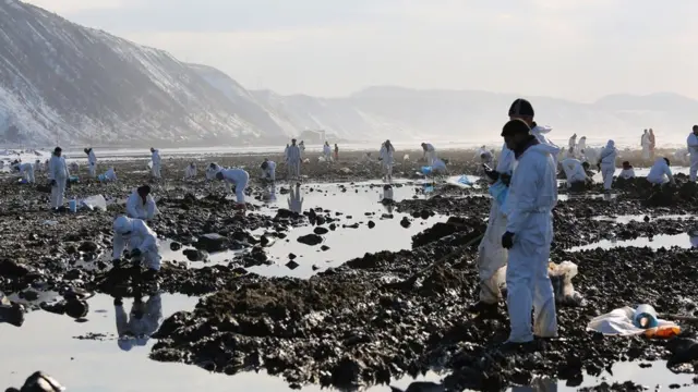 Экологи ликвидируют последствия разлива нефти на Сахалине (2015 год)