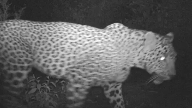 اسلام آباد، تندوے