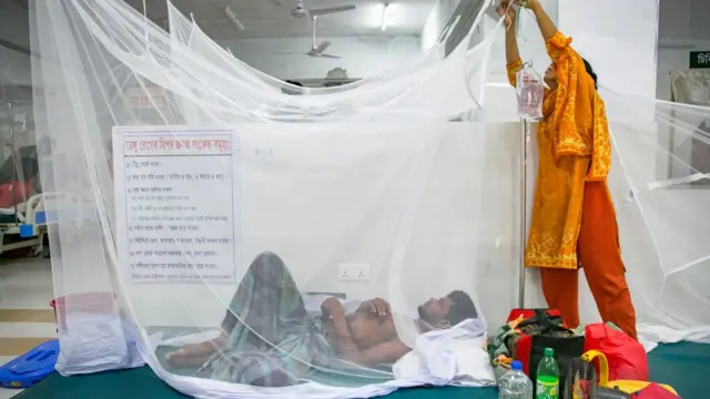 ঢাকার একটি হাসপাতালে মশারির নীচে ডেঙ্গু রোগী।