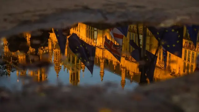 পানিতে পার্লামেন্টের প্রতিবিম্ব। এছাড়াও রয়েছে ইউনিয়ন জ্যাক, ক্রস অফ সেন্ট জর্জ এবং ইইউ পতাকা।