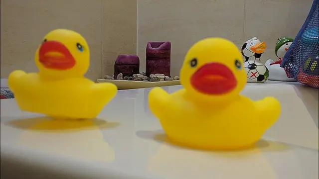 резиновые уточки