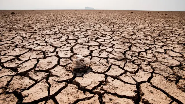 Dasar danau air tawar terbesar di China, Poyang, terekspos karena temperatur tinggi dan kekeringan di Provinsi Jiangxi.