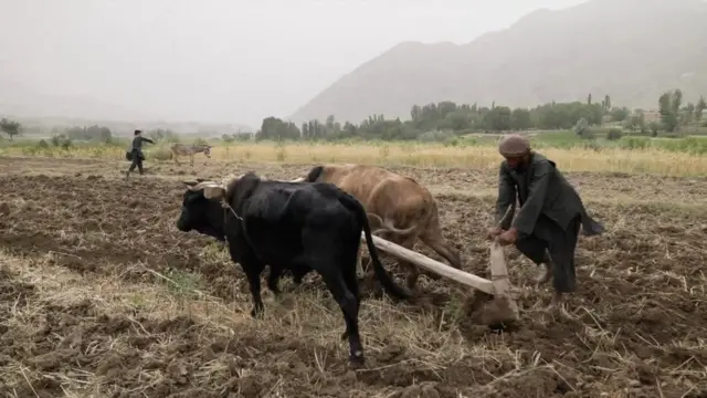 पंजशीर और अंदराब के आम लोगों का कहना है कि वो तालिबान और विद्रोहियों के बीच फंस गए हैं.