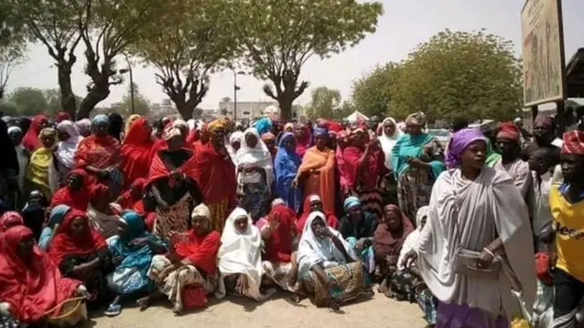 Kwankwasiyya Reporters