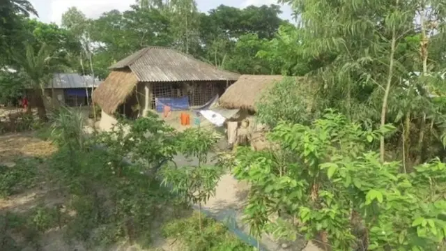 सुंदरबन