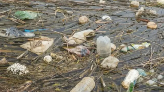 பிளாஸ்டிக் கழிவுகள்