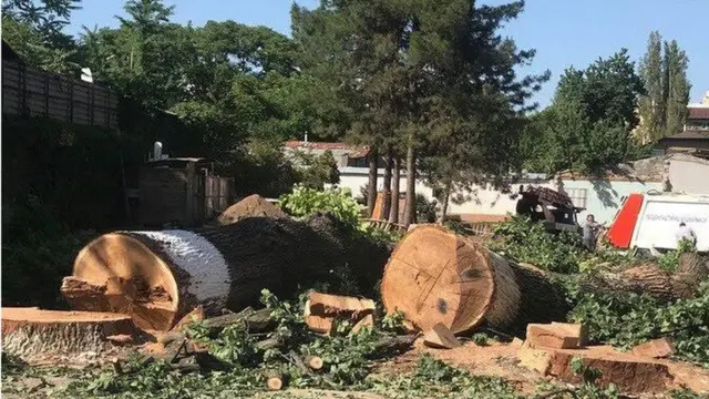 Ўзбекистон