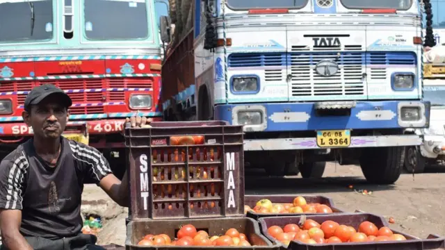 છત્તીસગઢમાંથી ટામેટાની નિકાસ પર પ્રતિબંઘ