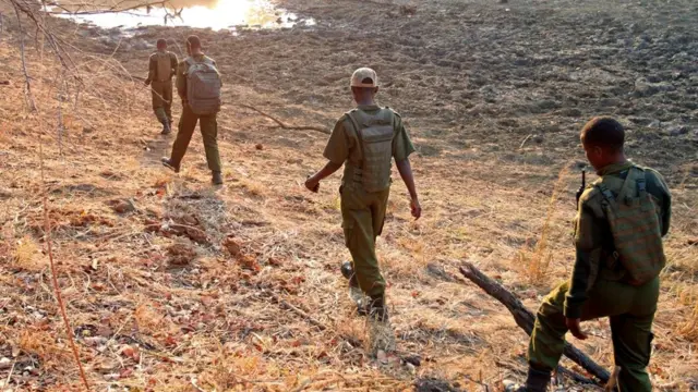 Дикие животные тоже почувствовали, что что-то изменилось. Женщин-егерей они не боятся