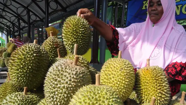 durian, indonesia