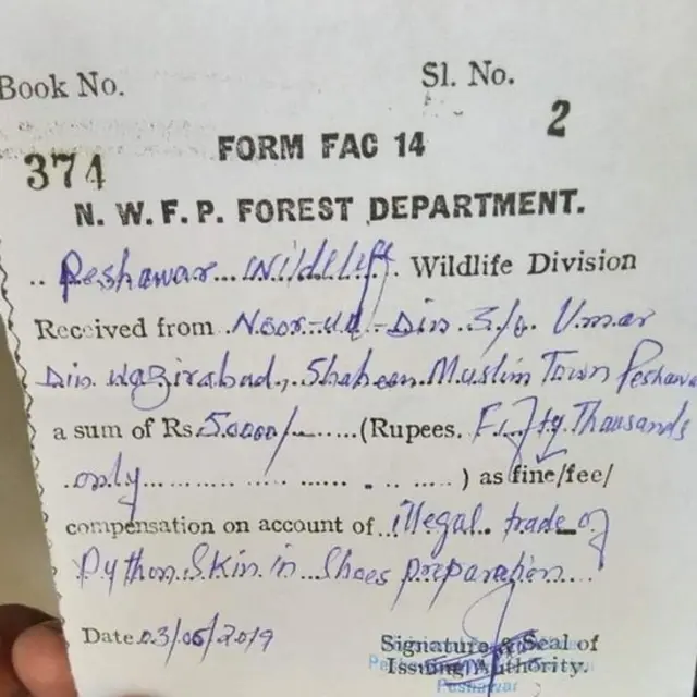 سانپ کی کھال