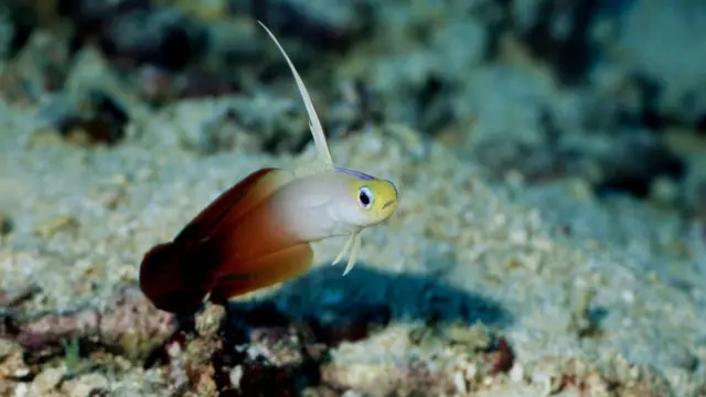 சாகர் மாலா