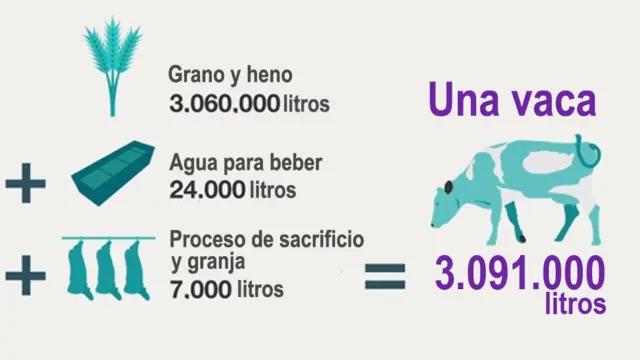 Cuánta agua necesita una vaca