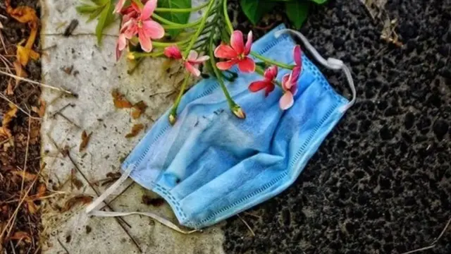 कोरोना व्हायरस