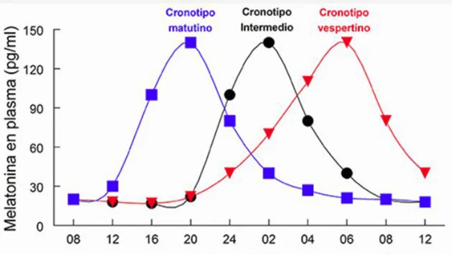 Gráfico com os diferentes cronotipos