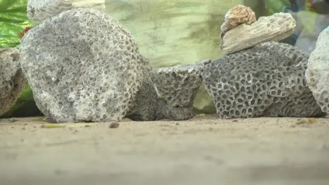 రామసేతు