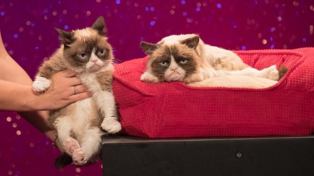 Grumpy Cat is posed next to its Madame Tussauds look alike