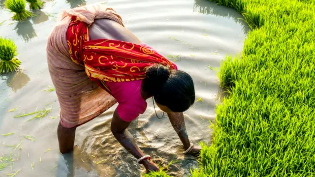 महिला शेतकरी