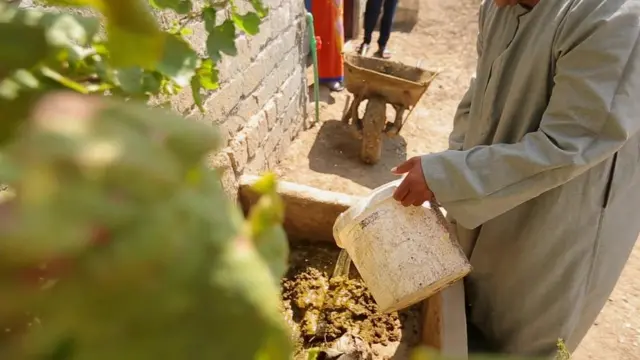 توضع مخلفات الحيوان في حفرة لإنتاج الطاقة