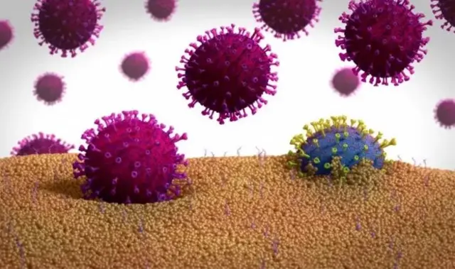 कोरोनाभाइरस