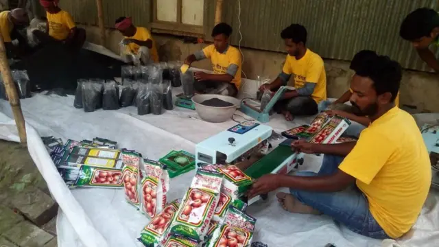 পেঁয়াজের বীজ প্যাকেটজাত করা হচ্ছে।