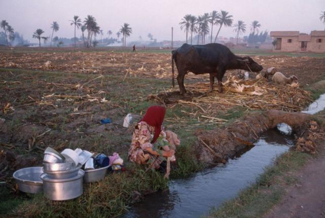 تساور المصريين مخاوف قوية من تأثير سد النهضة على تدفق المياه على مصر، الأمر الذي يضر بحياة الملايين منهم، خاصة في قطاع الزراعة الحيوي.