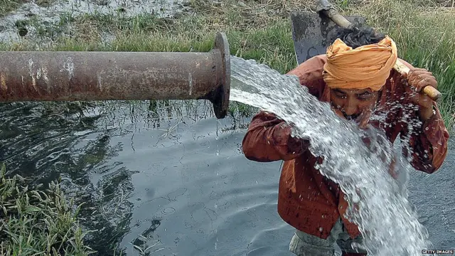 ਪੰਜਾਬ ਕਿਸਾਨ