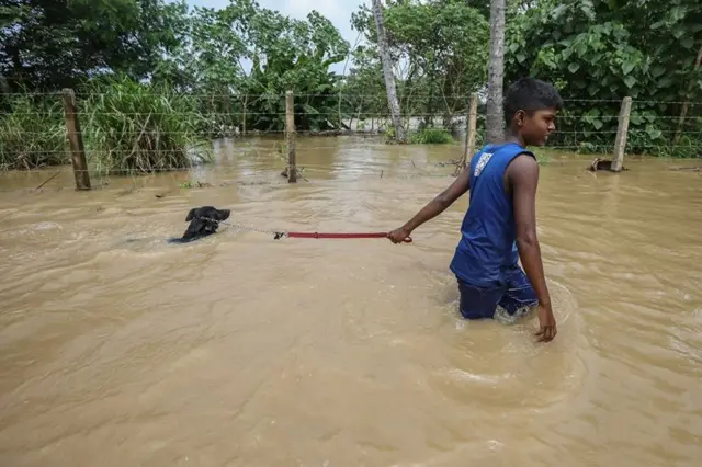 A Sri Lankan boy walks his dog along a submerged road after heavy rainfall and flooding in a Colombo suburb