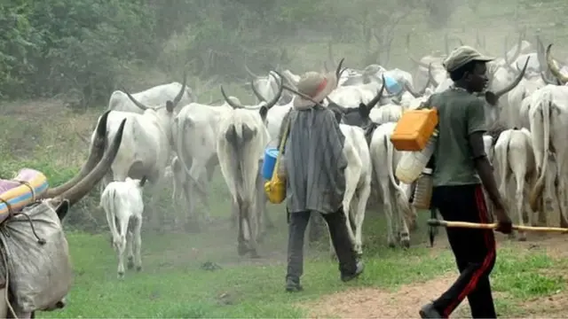 Darandaran ati maalu