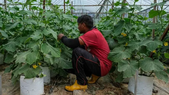 অভিবাসি কর্মী